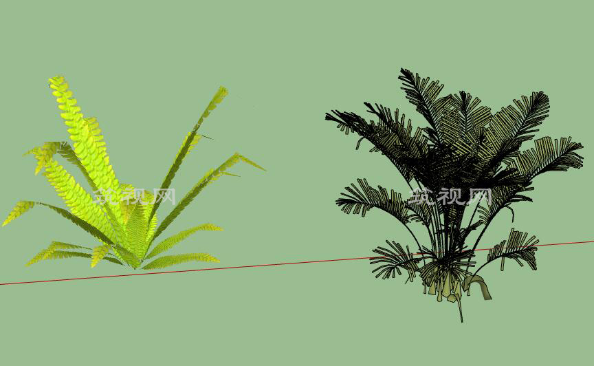 52棵香磷灌木植物精选su模型.jpg
